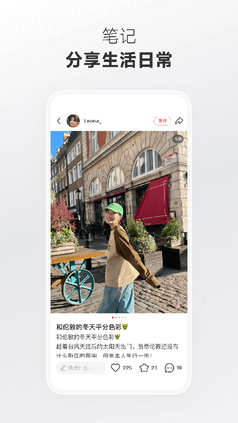 趴在绣球花上的蜻蜓微距壁纸