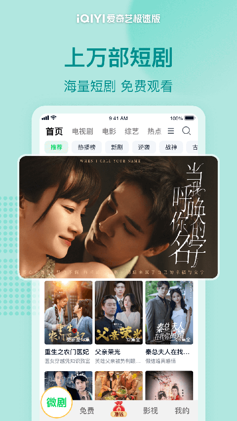 狐狸蜷缩在大象耳朵褶皱里看极光壁纸